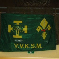vlag - Scouts en Gidsen Zaventem 